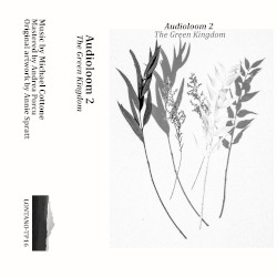 Audioloom 2