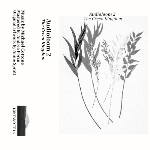 Audioloom 2