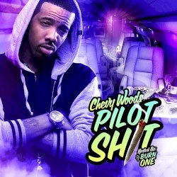 Pilot Shit