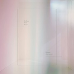 Shifting Wall Shade