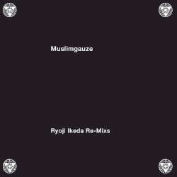 Ryoji Ikeda Re-Mixes