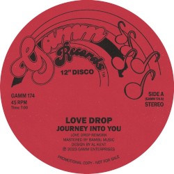 Journey Into You