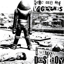 I Wanna Destroy