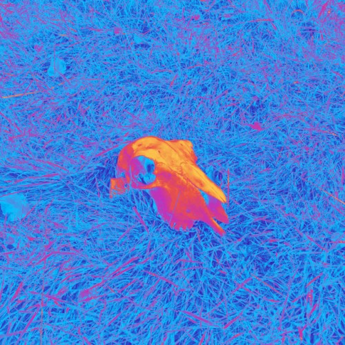 Circadian EP