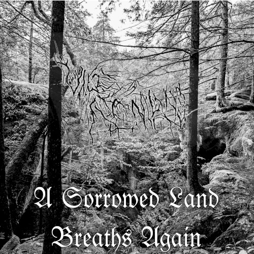 A Sorrowed Land Breaths Again