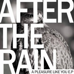 A Pleasure Like You E.P.