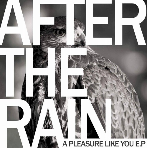 A Pleasure Like You E.P.