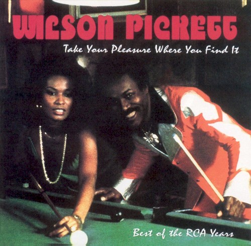 Take Your Pleasure Where You Find It: Best of the RCA Years