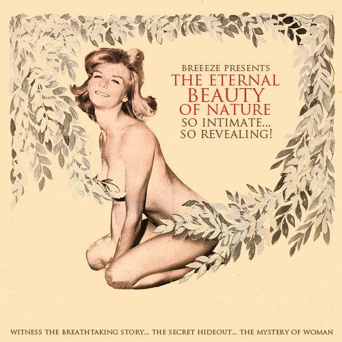 The Eternal Beauty Of Nature