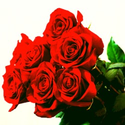 Four Roses EP