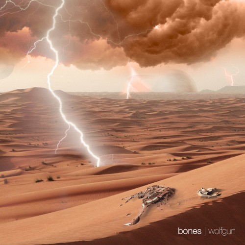 Bones