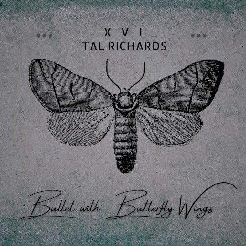 Bullet With Butterfly Wings