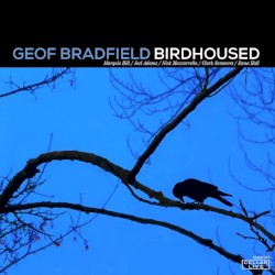 Birdhoused