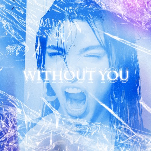 Without You
