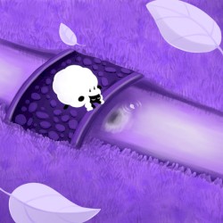 Slumbering Weald (Pokemon Sword and Shield)