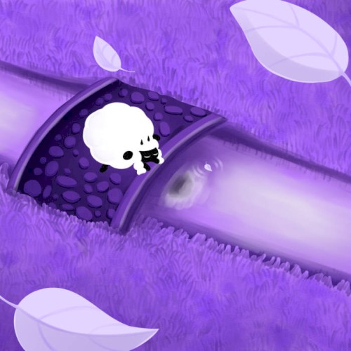 Slumbering Weald (Pokemon Sword and Shield)