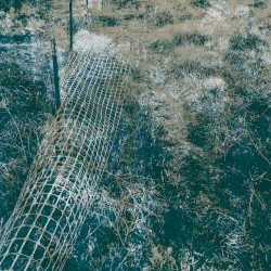 Ambulation