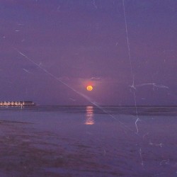 reflections / beach house