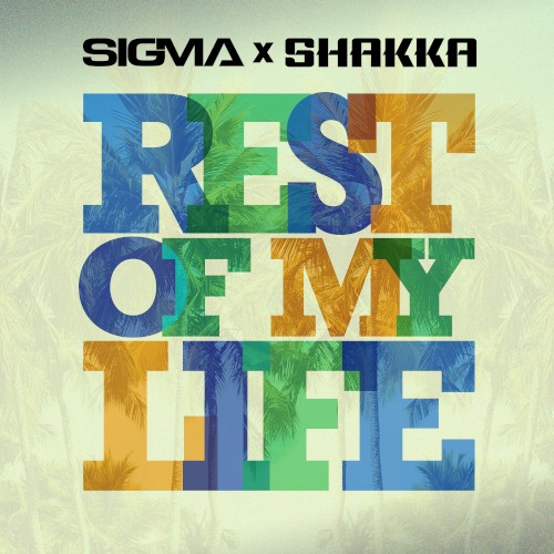Rest of My Life