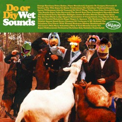 DO or DIY - Wet Sounds - The Best of All Things Particularly Avant Retard