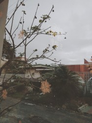 IN TIME EP