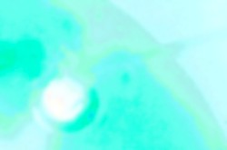 De;