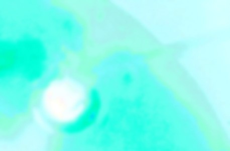 De;