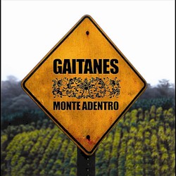Monte adentro