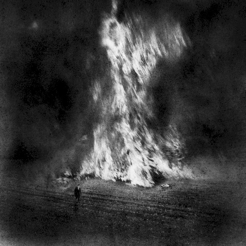 Fields of Fire