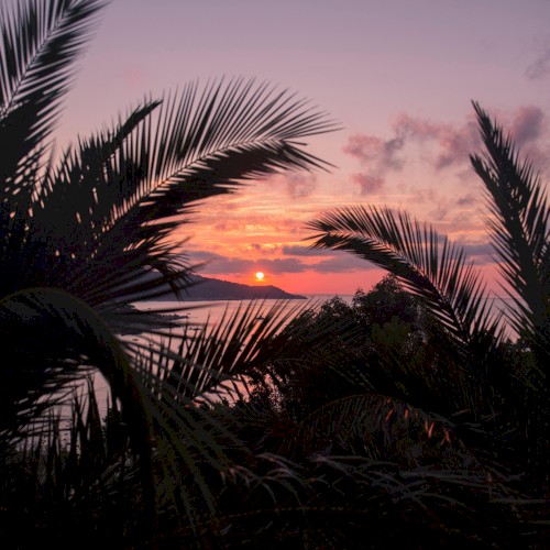 St. Tropez