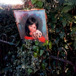 Barbed Wire Kitsch