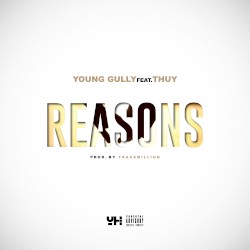 Reasons