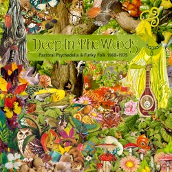 Deep in the Woods: Pastoral Psychedelia & Funky Folk 1968-1975