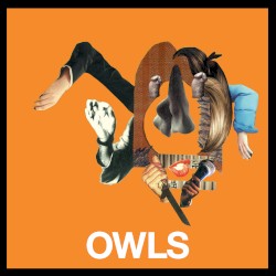 Owls
