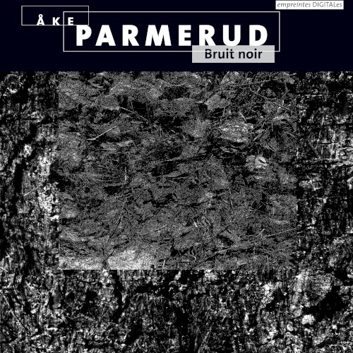 Bruit noir
