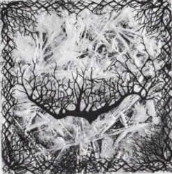 Root of Evil