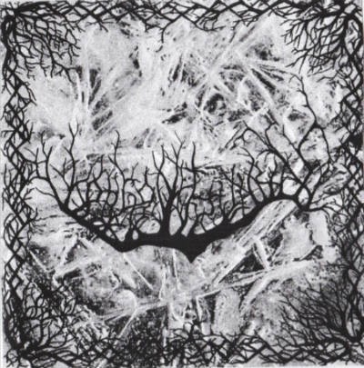 Root of Evil