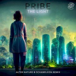 The Light (Alter Nature & Schameleon remix)