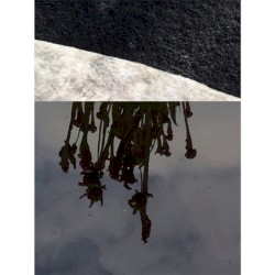Bifurcation & Bereavement