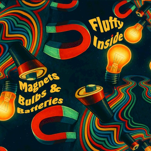 Magnets Bulbs & Batteries