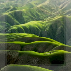 Landscapes