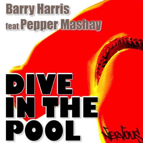 Dive In the Pool 2008