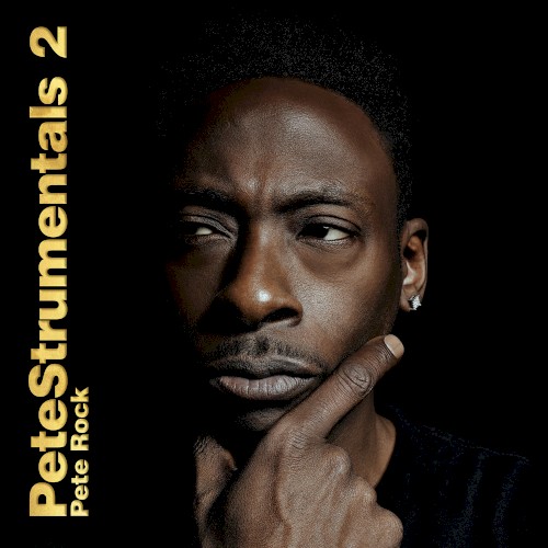 PeteStrumentals 2