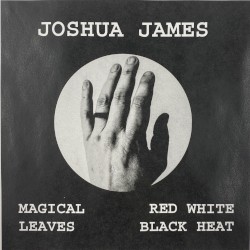 Magical Leaves Red White Black Heat