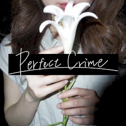 Perfect Crime