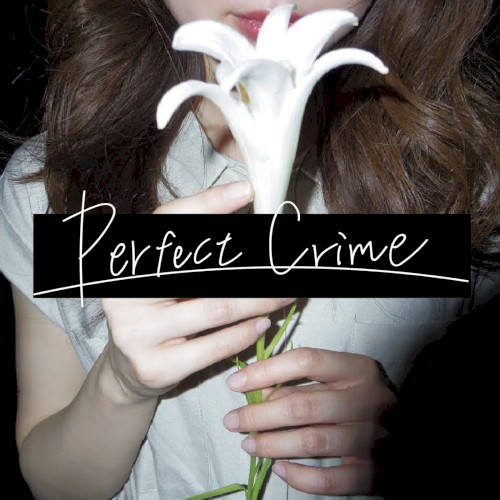 Perfect Crime