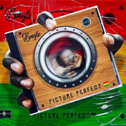 Picture Perfect
