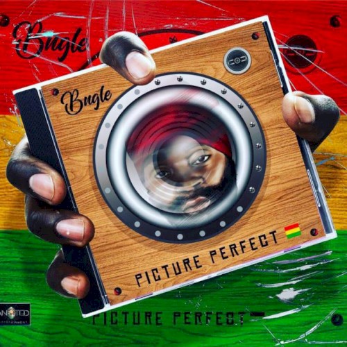 Picture Perfect