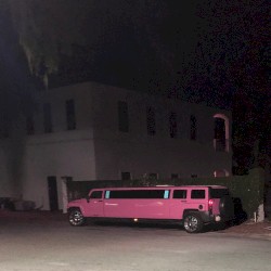 STRETCH PINK HUMMER