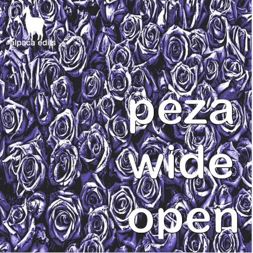 Wide Open